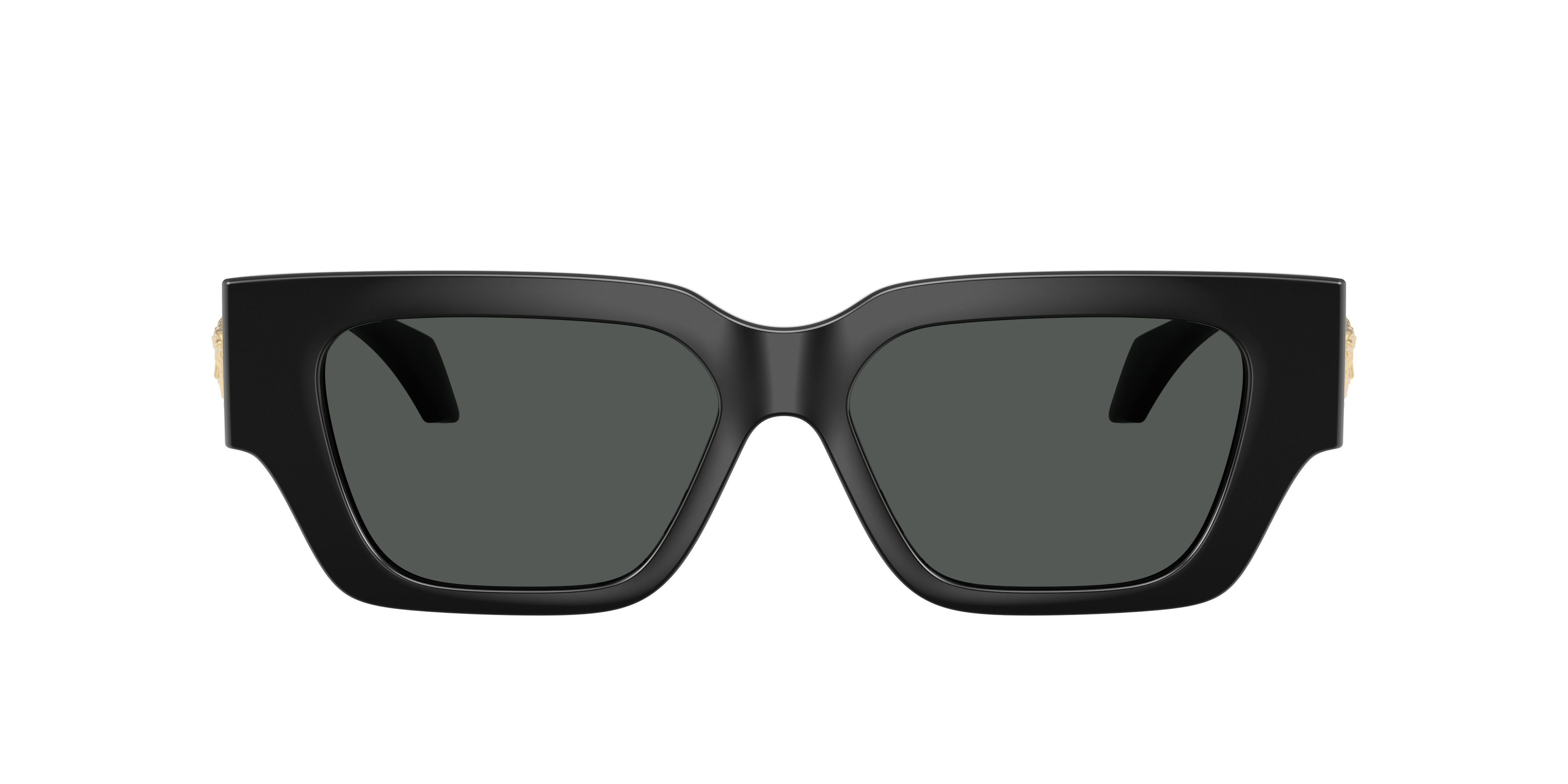 VERSACEサングラス Versace VE4497U M (53 - 15) with Grey lenses and Black frame