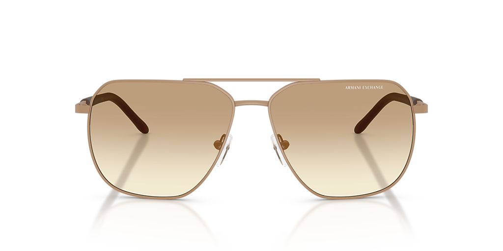 Armani Exchange AX2057S L (59 - 14) with Brown lenses and Brown