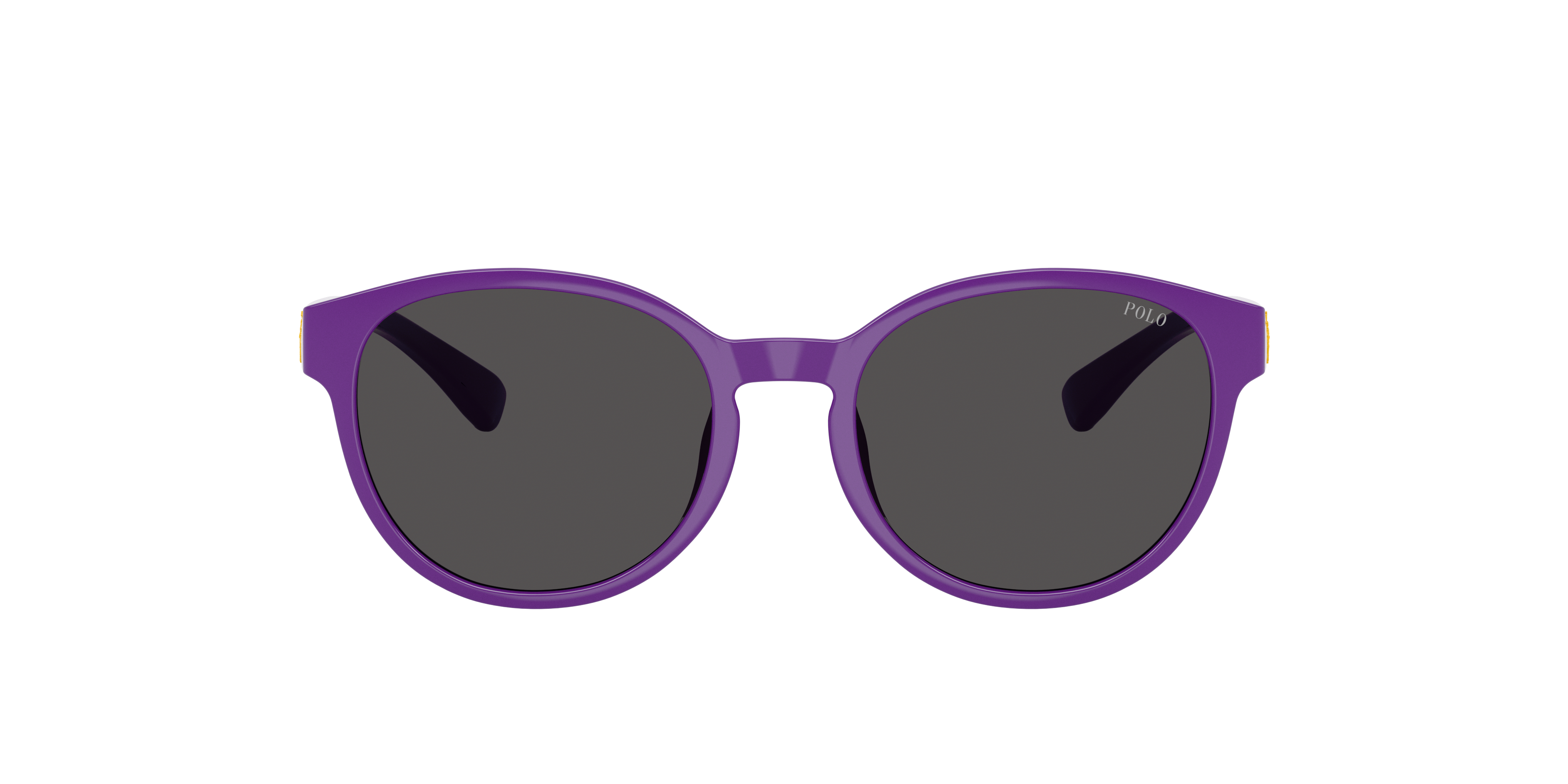Polo Ralph Lauren Unisex Sunglass Pp9509u In Purple