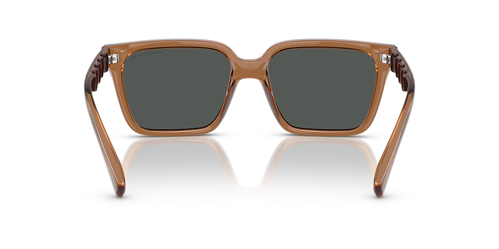 ARMANI EXCHANGE AX4147S Shiny Transparent Brown - Men Sunglasses, Dark Grey Lens