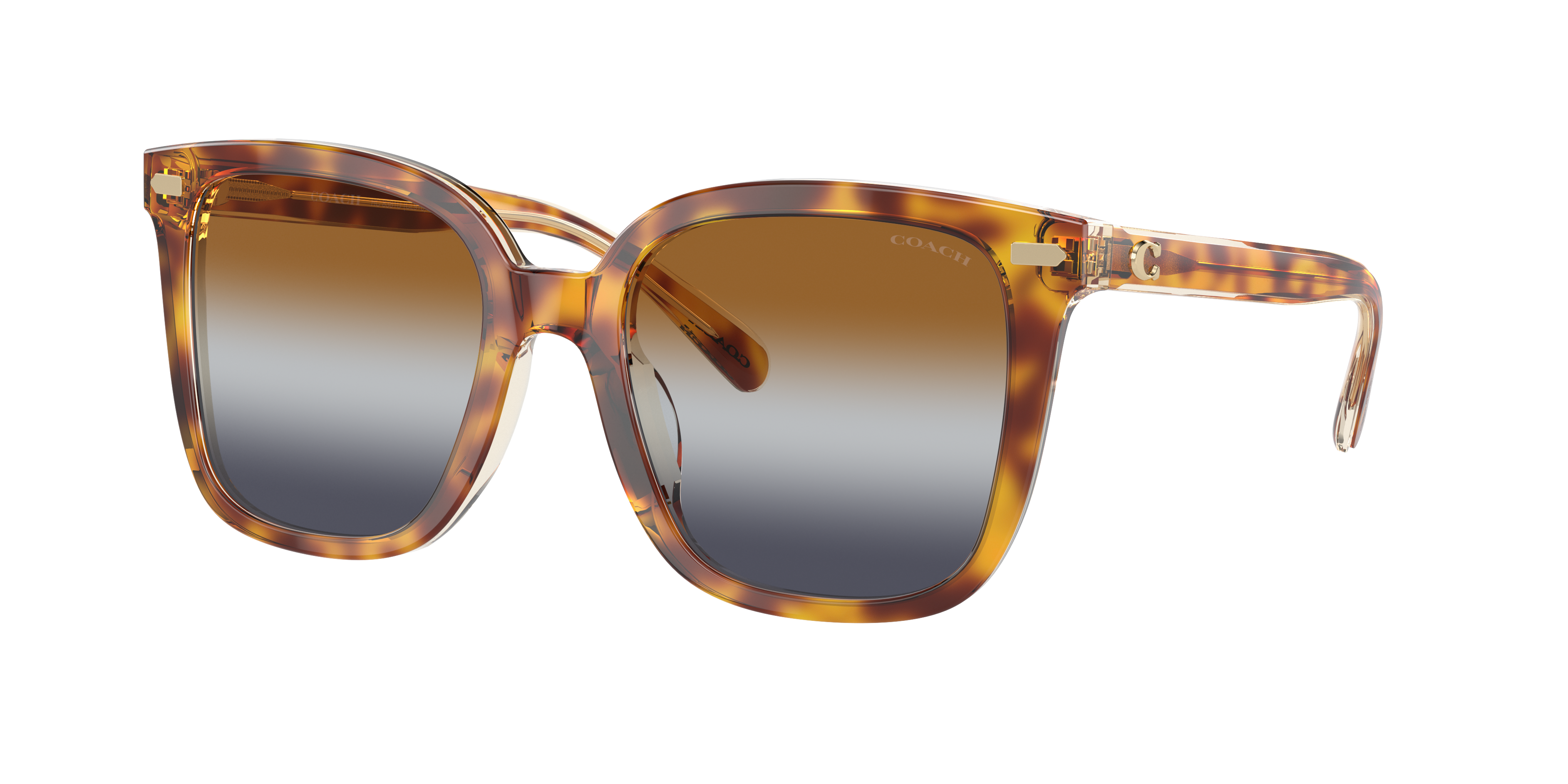 COACH コーチ サングラス　HC8391U(CR609) ウェリントン HC8391U CR609 Sunglasses - Coach Authorized Retailer