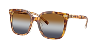 Coach HC8381U CL918 L (54 - 20) with Blue lenses and Brown