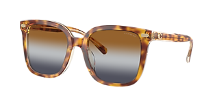 Coach HC8378U CL926 XXL (57 - 17) with Brown lenses and