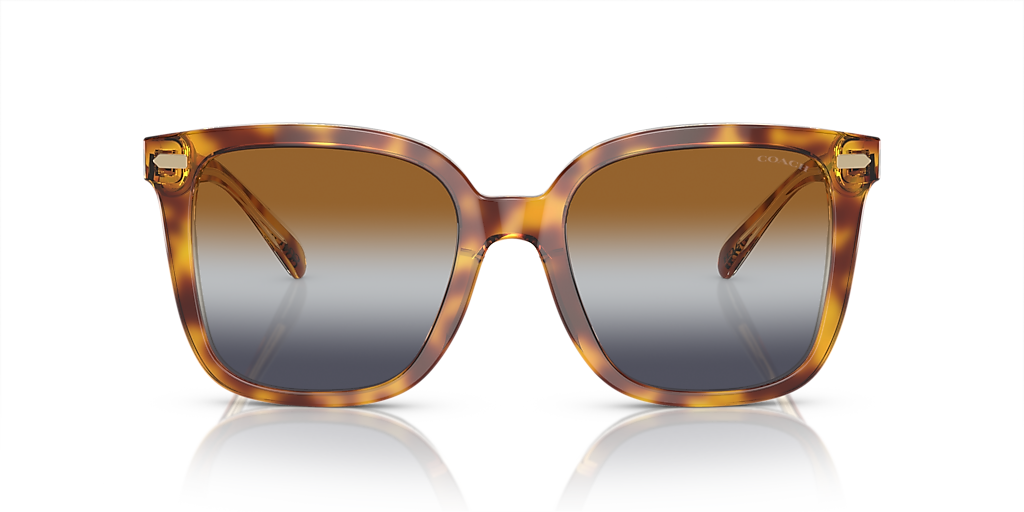 Coach HC8381U CL918 Sunglasses | LensCrafters