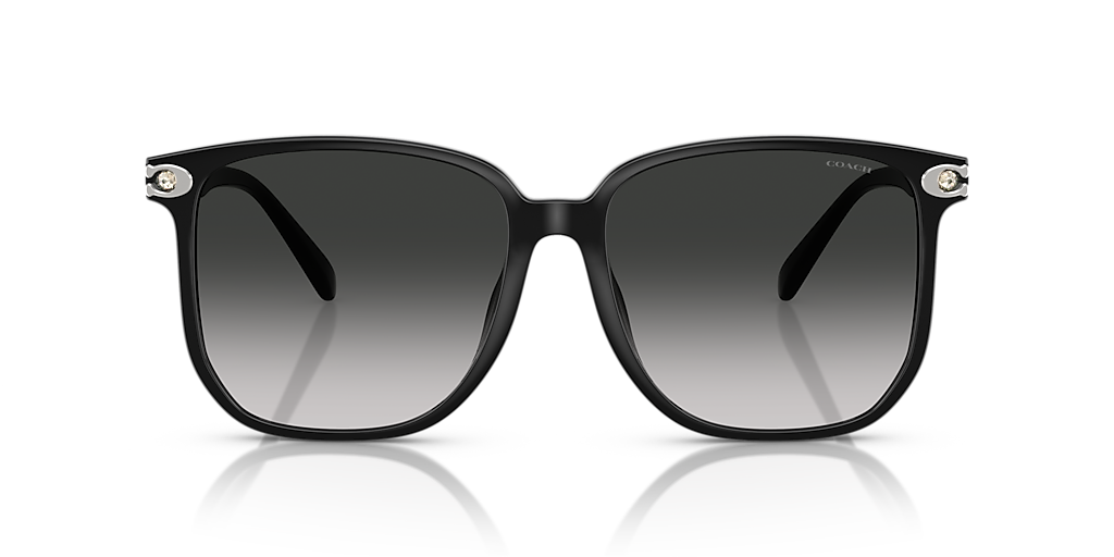 Coach HC8413BD CW419 XL (58 - 16) with Grey lenses and Black