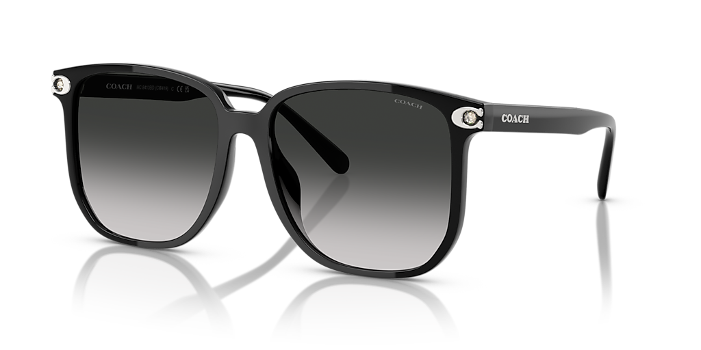 Coach HC8413BD CW419 XL (58 - 16) with Grey lenses and Black