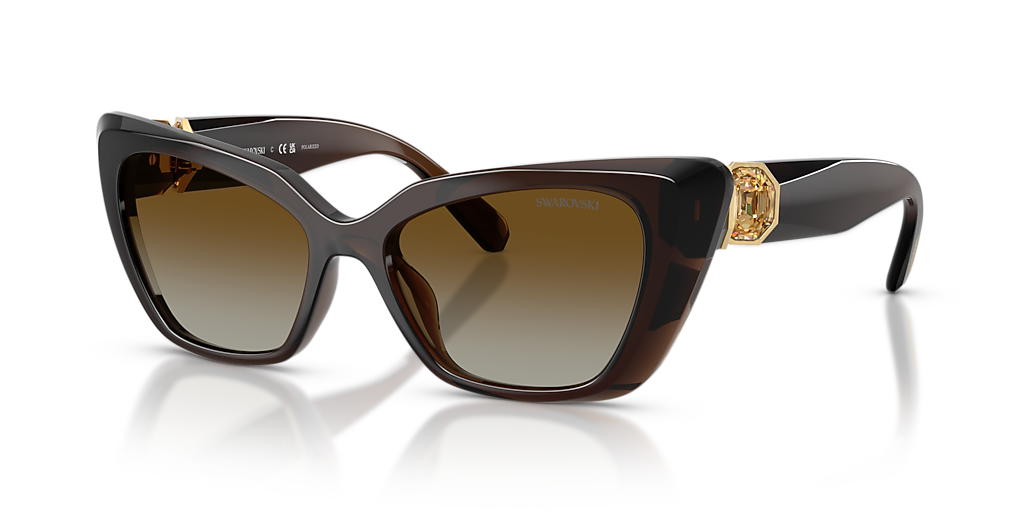 Swarovski SK6047 XS (54 - 17) with Brown lenses and Brown frame