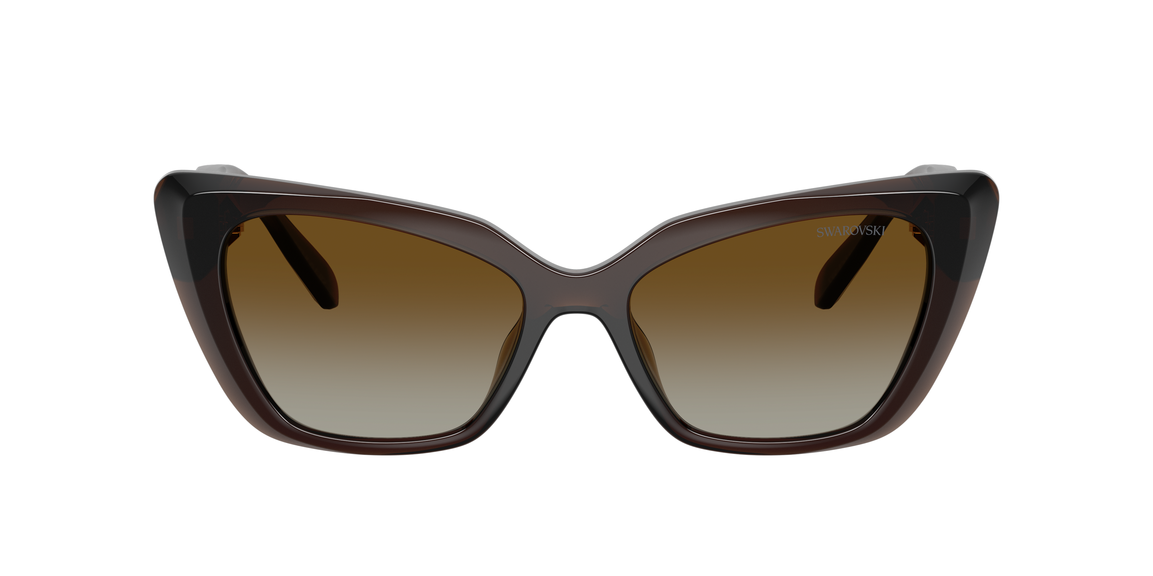 Swarovski SK6047 XS (54 - 17) with Brown lenses and Brown frame