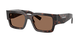 Prada PR 28ZS M (53 - 22) with Brown lenses and Green frame