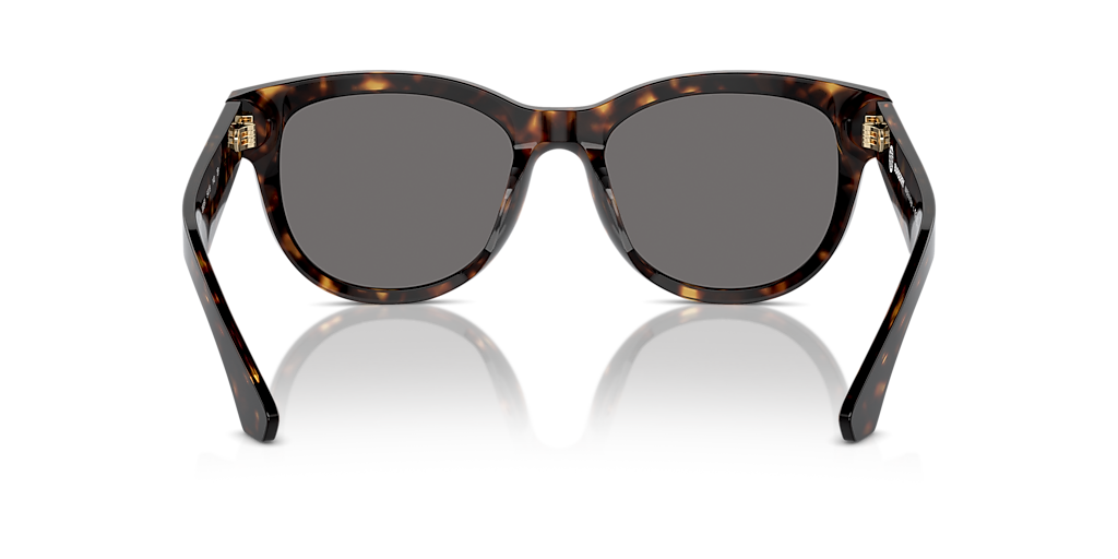 Burberry BE4432U L (54 - 19) with Grey lenses and Brown