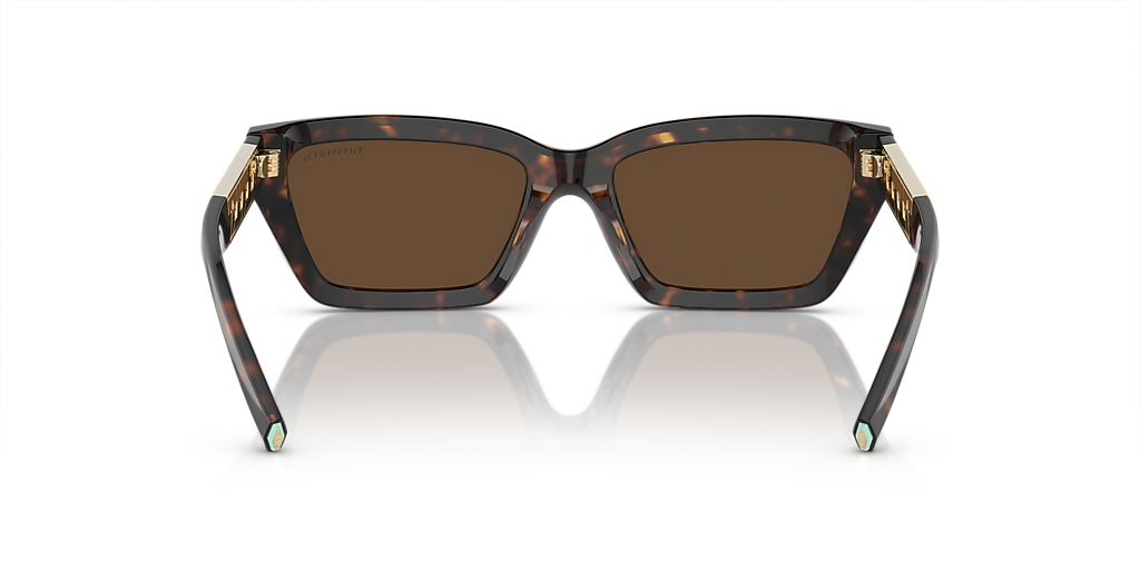 Tiffany & Co. TF4213 S (54 - 18) with Brown lenses and  display picture 2