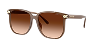 coachサングラス Coach HC8413BD CW419 XL (58 - 16) with Grey lenses and Black frame