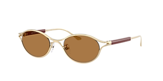 Tory Burch TY6091 XL (56 - 18) with Brown lenses and Gold  display picture 3