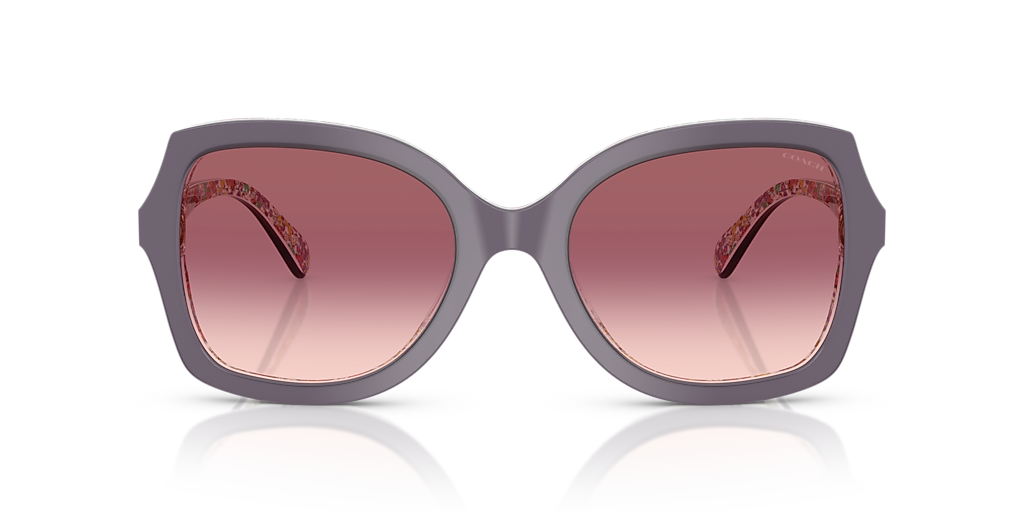 Coach CW225 XL (56 - 21) with Violet lenses and Violet frame