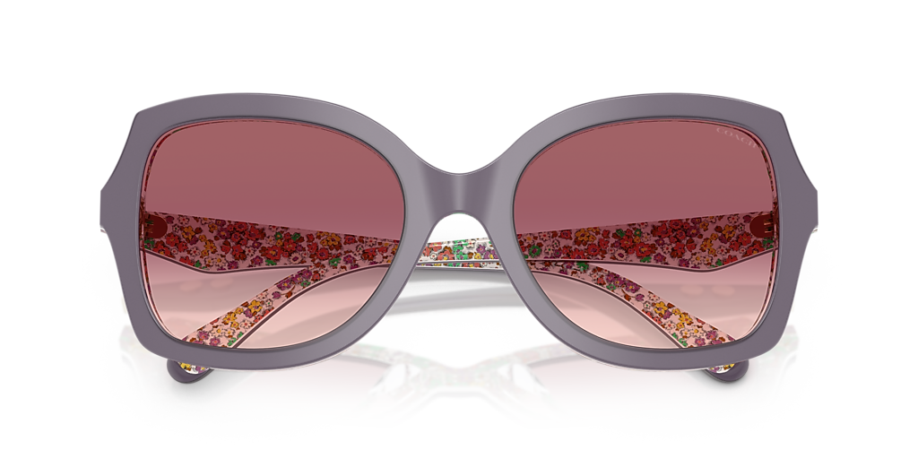 Coach CW225 XL (56 - 21) with Violet lenses and Violet frame  display picture 3