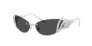 SWAROVSKI　ルーク Swarovski SK6031 L (53 - 19) with Grey lenses and Black frame