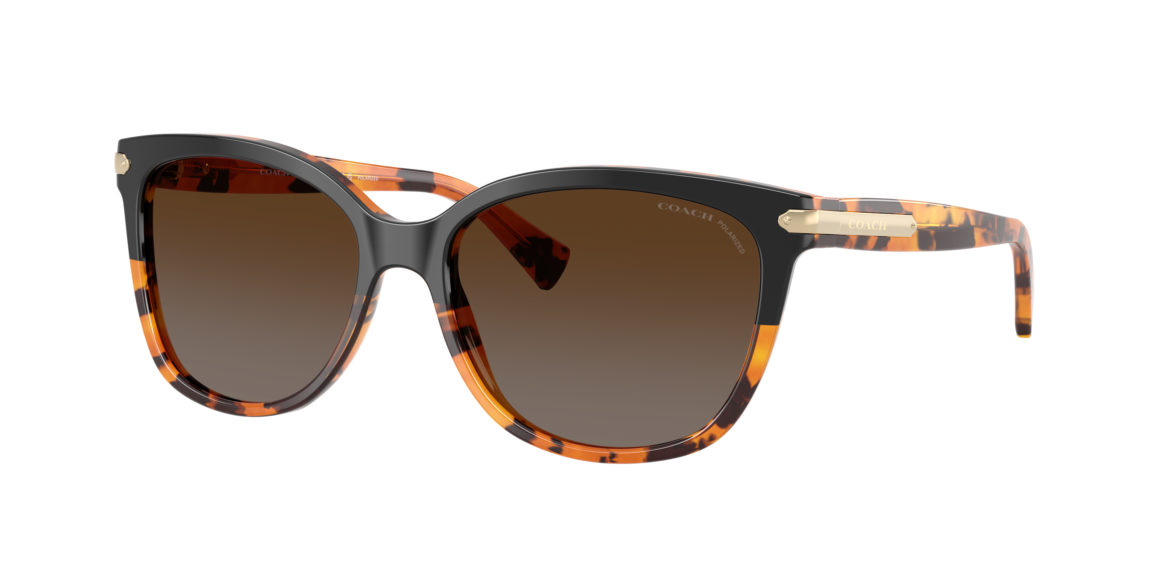 Coach HC8132 L109 L (57 - 17) with Brown lenses and Tortoise frame