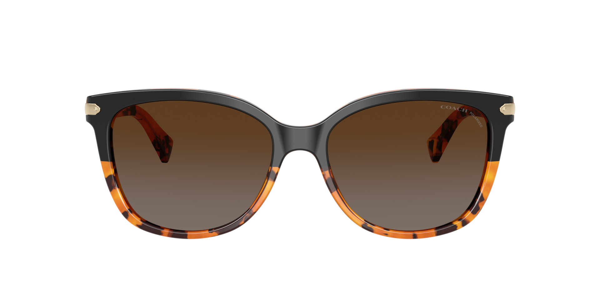 Coach HC8132 L109 L (57 - 17) with Brown lenses and Tortoise  display picture 1