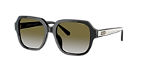 Coach HC8335U C7989 S (53 - 18) with Brown lenses and