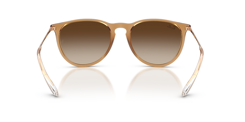 Ray-Ban RB4171F Erika Classic XL (57 - 18) with Brown lenses and