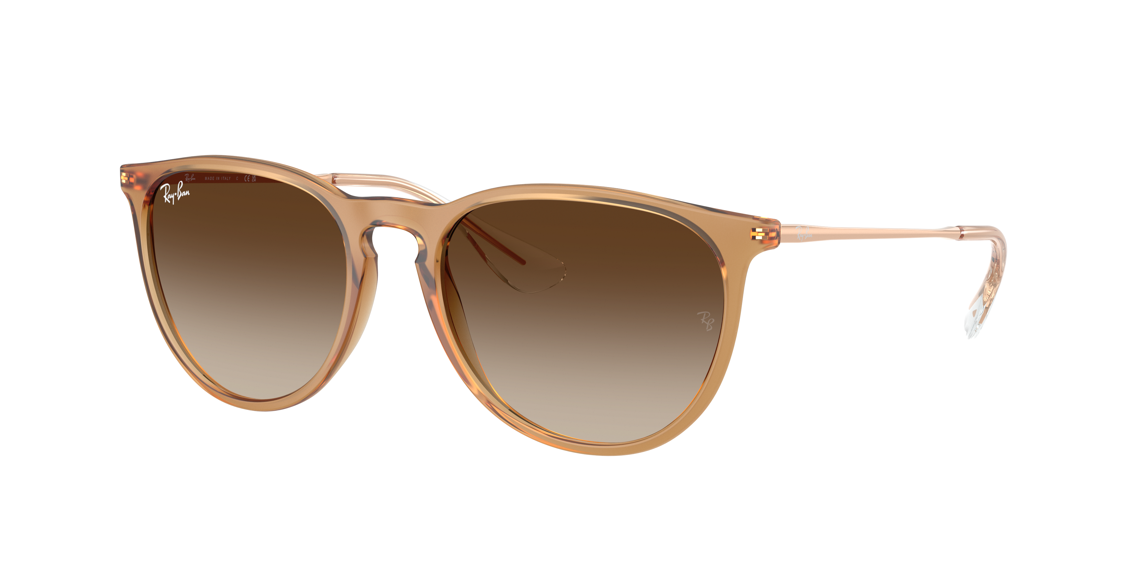 Ray-Ban Erika Classic XL (57 - 18) with Brown lenses and Brown