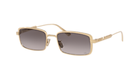 DIOR Diorcannage CD40210U