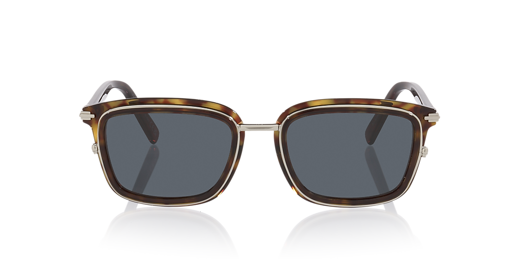 DIOR Diorblacksuit S18U S (53 - 20) with Green lenses and Tortoise