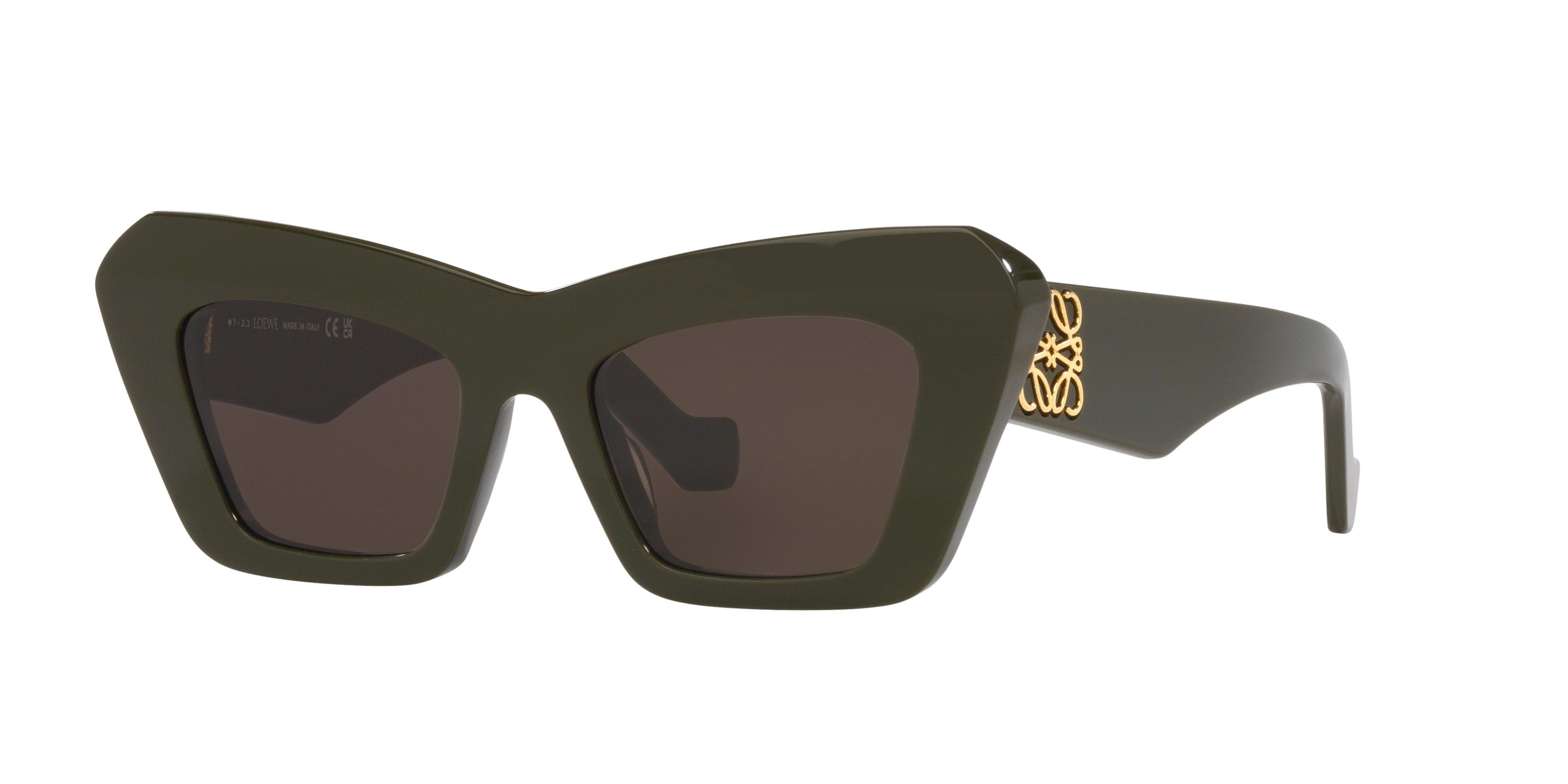 Loewe Woman Sunglass Anagram Lw40036i In Brown