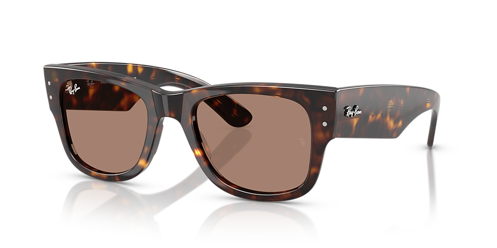 Ray-Ban ブラウン・トータス ファッションメガネ Ray-Ban Mega Wayfarer Summer Capsule L (52 - 21) with Violet