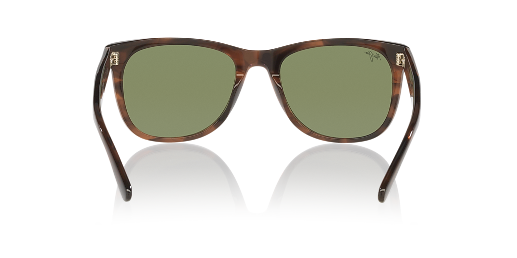 Maui Jim Kikonia Xl L (55 - 22) with Green lenses and Brown frame