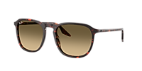 Ray-Ban Classic Brown Sunglasses with Case rb 2203 Ray-Ban RB 2203 1392/0A Sunglasses - US main image 4