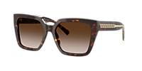 Tiffany & Co. TF4235 S (55 - 17) with Blue lenses and Brown  display picture 2