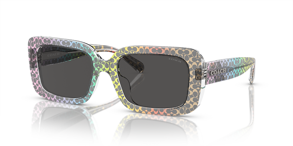 【送料,関税込】 COACH サングラス CL922 HC8380U Coach HC8380U CL922 M (54 - 19) with Grey lenses and frame