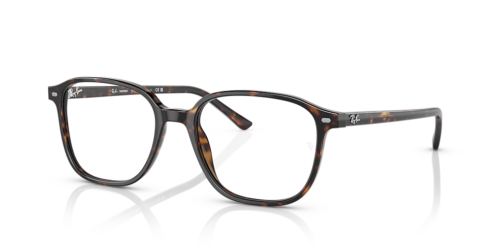 Ray-Ban レイバン　LEONARD TRANSITIONS® グレー LEONARD TRANSITIONS® Sunglasses in Havana and Clear/Grey