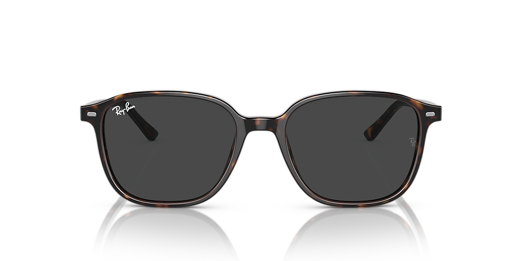 Ray-Ban レイバン　LEONARD TRANSITIONS® グレー LEONARD TRANSITIONS® Sunglasses in Havana and Clear/Grey