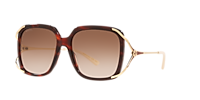 GUCCI GG0647S Black - Women Luxury Sunglasses, Brown Gradient Lens