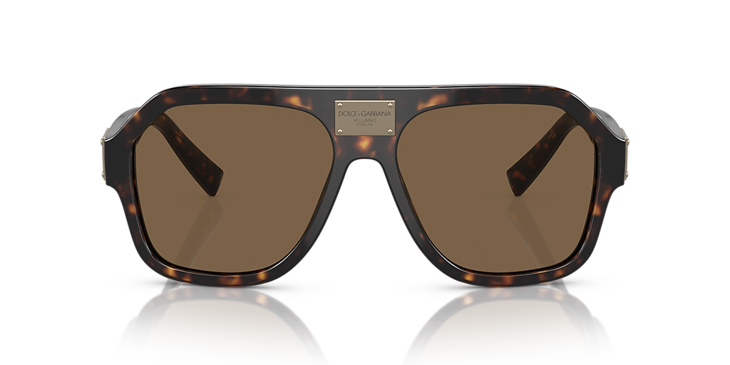 Dolce&Gabbana DG4433 L (58 - 16) with Brown lenses and Tortoise