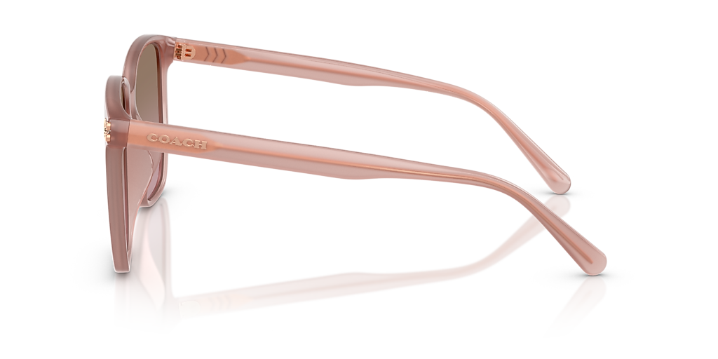 COACH HC8413BD CW419 Milky Buff - Women Luxury Sunglasses, Brown Rose Gradient Lens