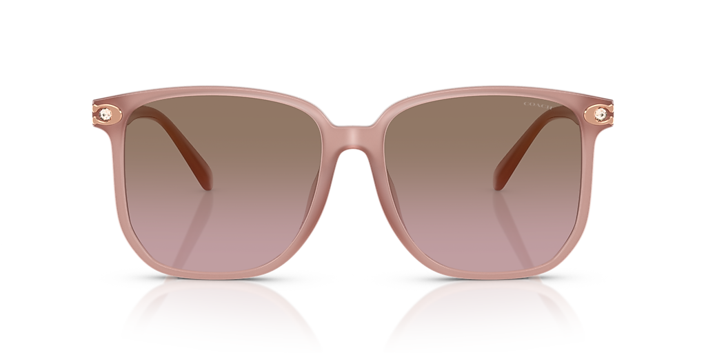 COACH HC8413BD CW419 Milky Buff - Women Luxury Sunglasses, Brown Rose Gradient Lens