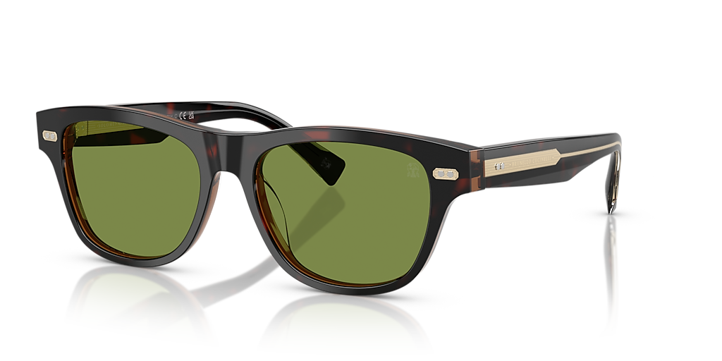 Brunello Cucinelli BC3005S L (54 - 17) with Green lenses and