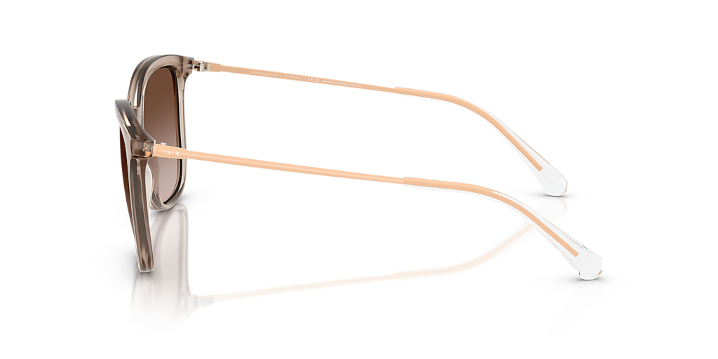 Armani Exchange AX4151SF L (55 - 17) with Brown lenses and Beige
