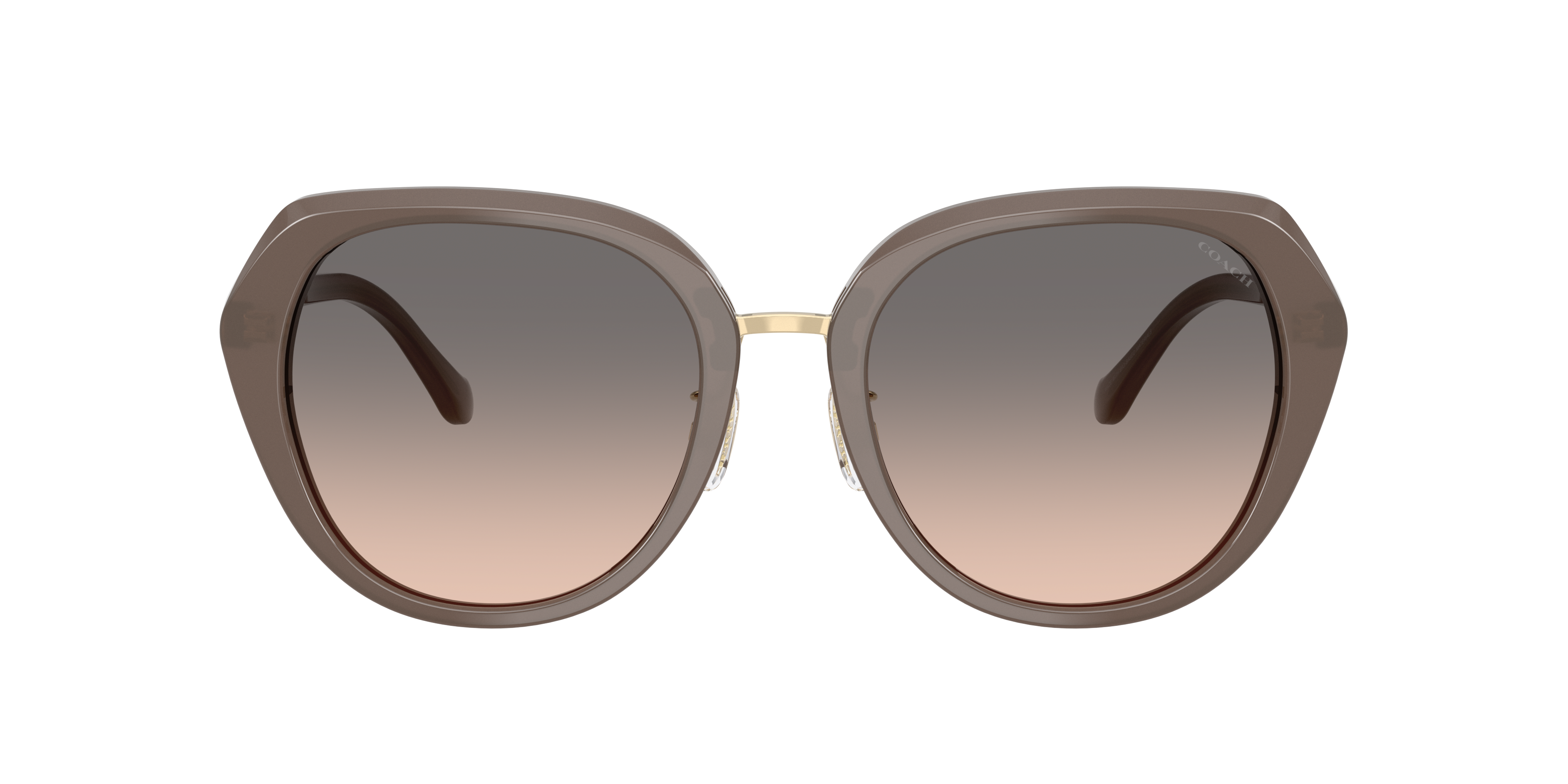 Coach HC8436 CBY93 M (55 - 20) with Grey lenses and Grey frame