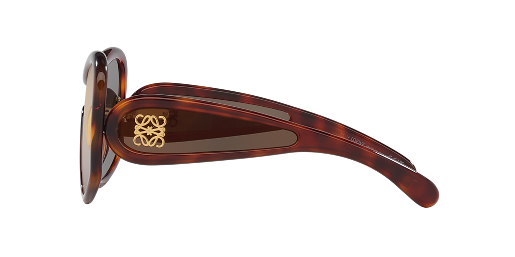 LOEWE Fashion Lw40131I Tortoise - Women Sunglasses, Brown Lens