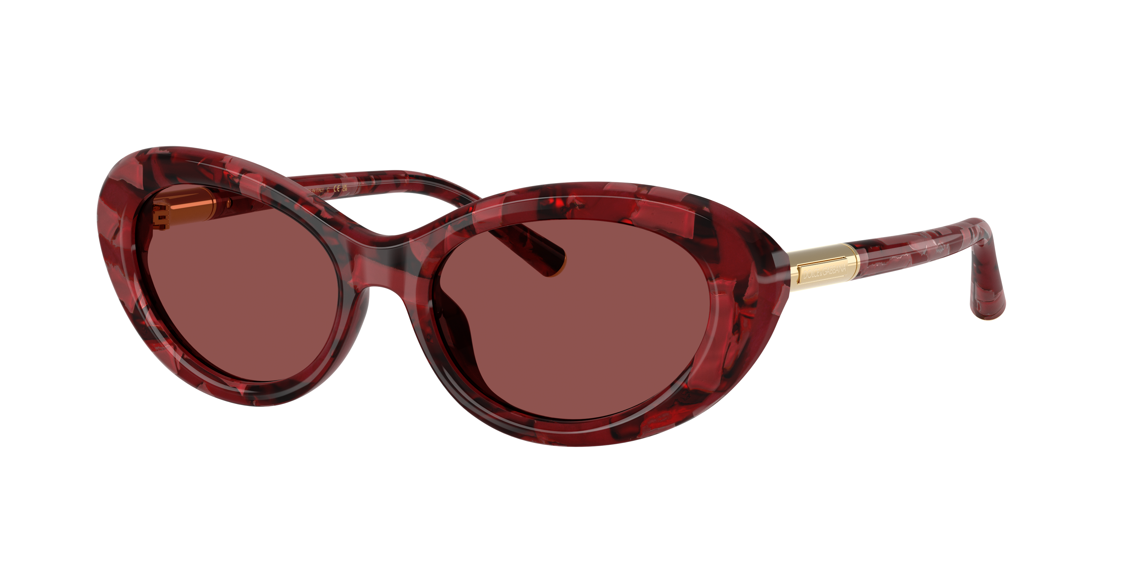 Dolce & Gabbana Full Frame Sunglasses In Brown