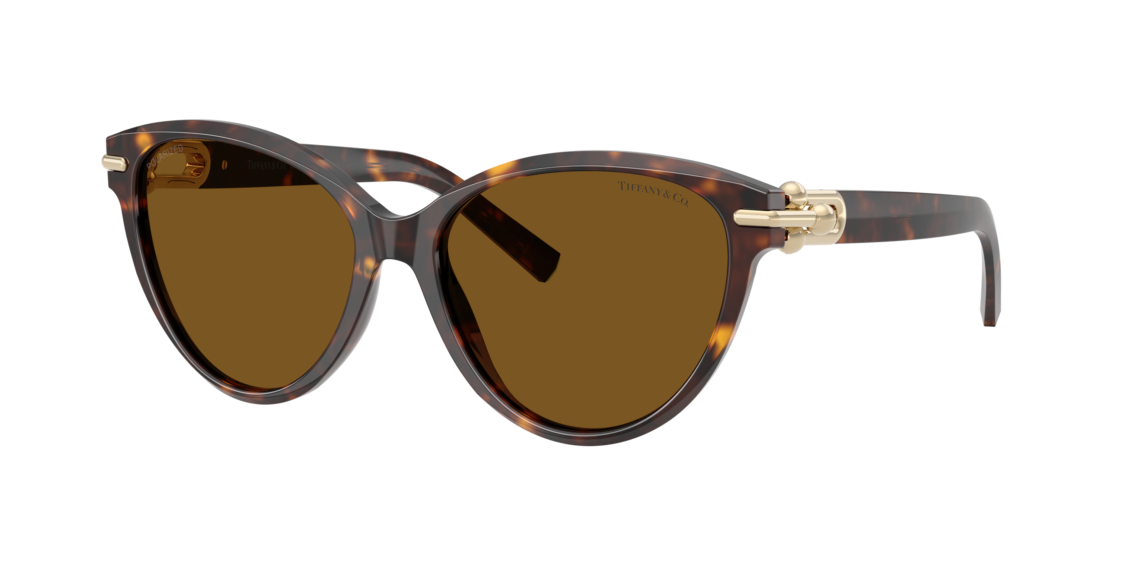 Tiffany & Co. Woman Sunglass TF4261 -  Frame color: Havana, Lens color: Dark Brown Polarized
