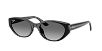 Ray-Ban RB4457D Bio-Based L (55 - 19) with Grey lenses and Black