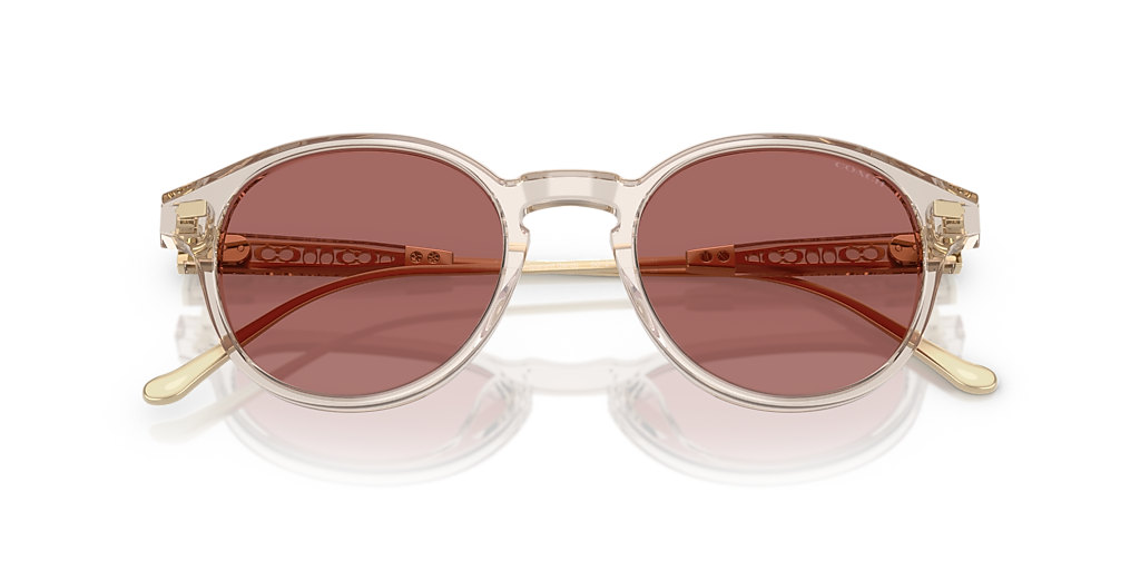 Coach CAD83 S (50 - 21) with Violet lenses and Brown frame  display picture 2