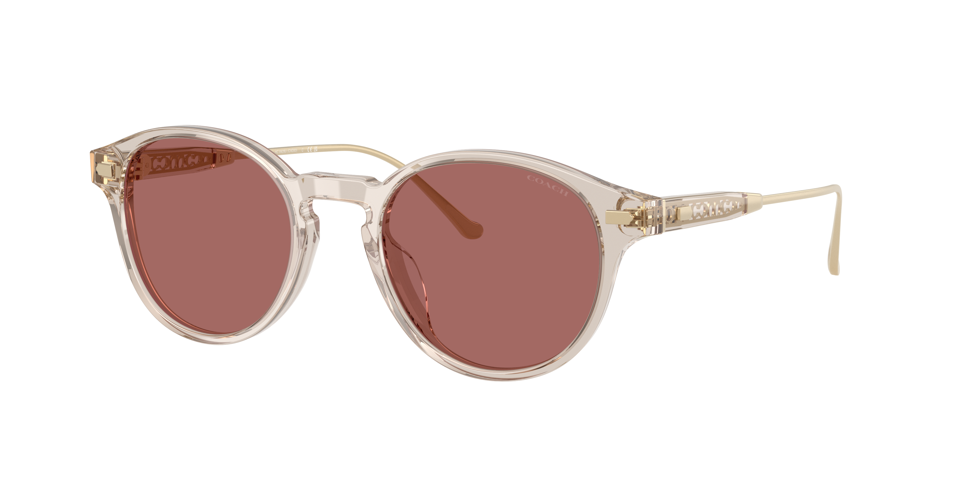 Coach HC8428U CAD83 S (50 - 21) with Violet lenses and Brown frame