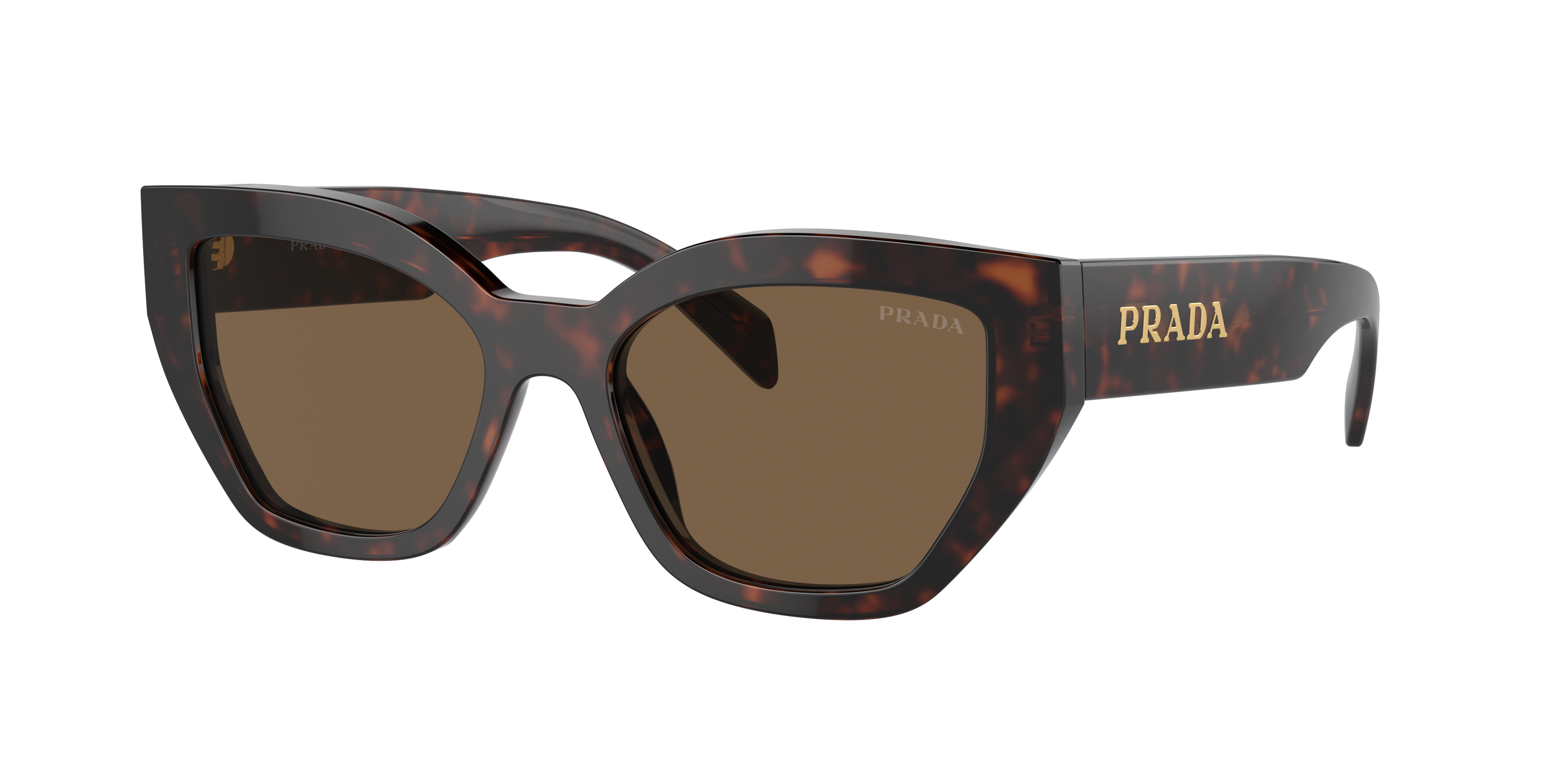 Prada PR A09SF L (55 - 16) with Brown lenses and Brown frame