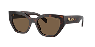 Prada PR A13S L (54 - 23) with Brown lenses and Tortoise